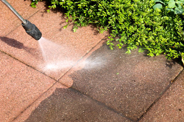 Best Roof Power Washing Services  in East Moriches, NY